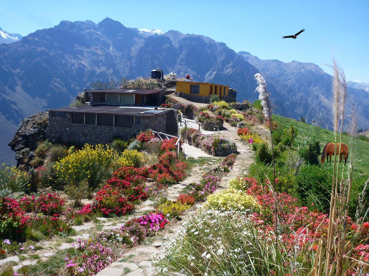 La Granja Del Colca Villa Cabanaconde Exterior photo